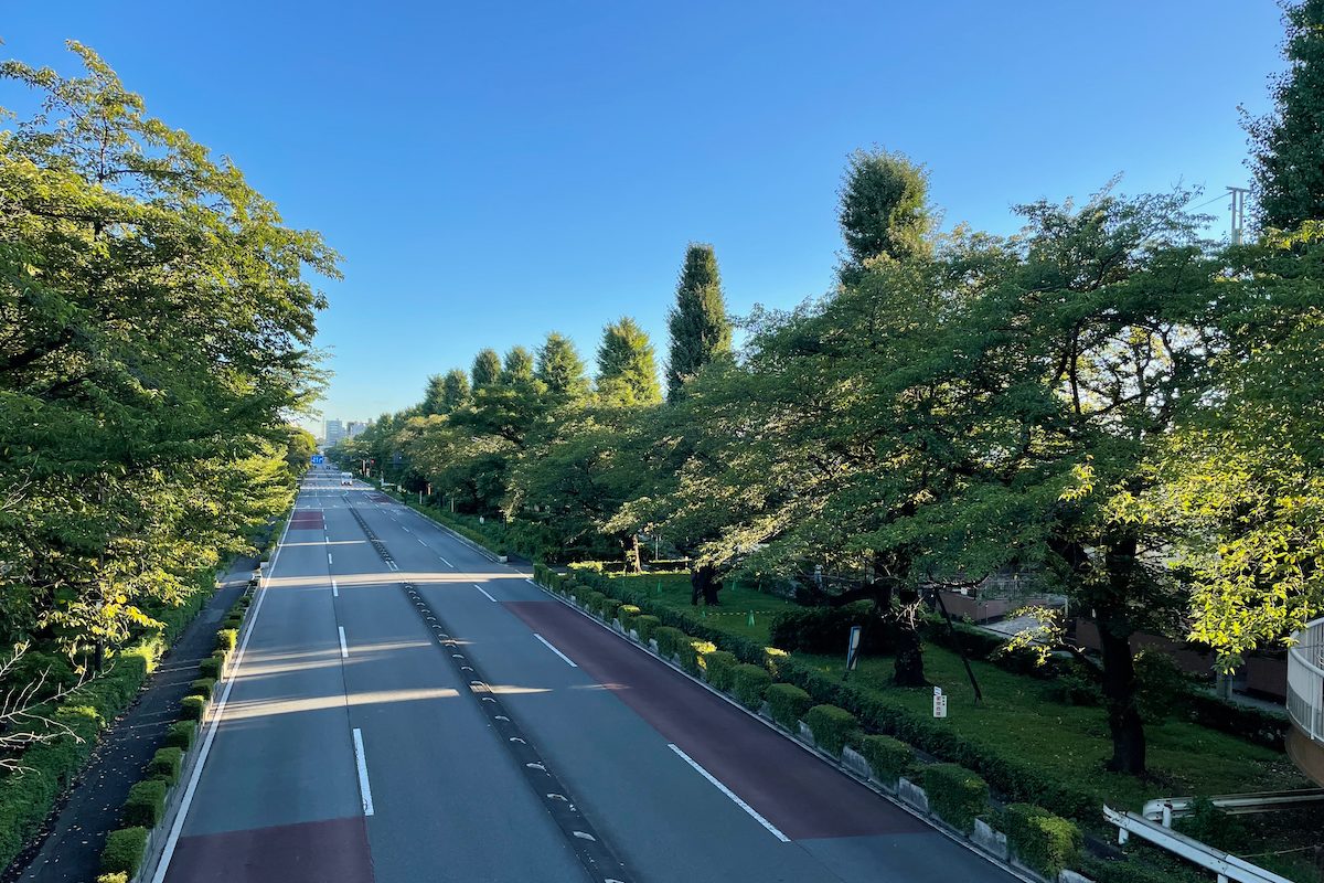 国立市 大学通り